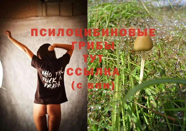 винт Абинск
