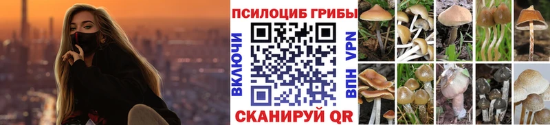 как найти   darknet наркотические препараты  Галлюциногенные грибы MAGIC MUSHROOMS  Симферополь 